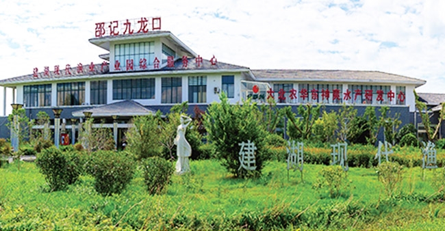 建湖九龙口大闸蟹有限公司